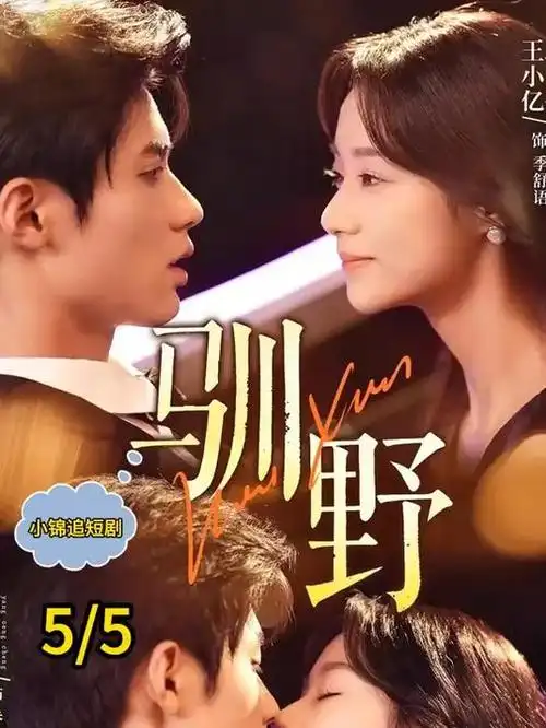 山影之下 现实主义家庭剧在线观看